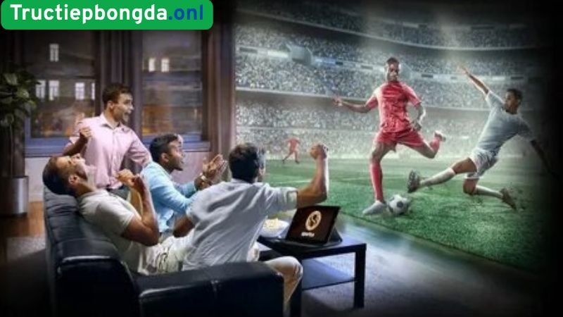 Trực Tiếp Bóng Đá Link VIP, Trải Nghiệm Xem Đỉnh Cao! 3 cac-loai-dich-vu-truc-tiep-bong-da-link-vip-pho-bien-hien-nay