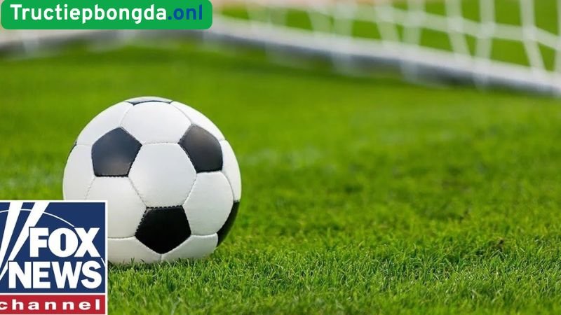 Trực Tiếp Bóng Đá Xem Link Đa Dạng, Xem Mọi Giải Đấu! 4 lua-chon-giai-dau-de-xem-truc-tiep
